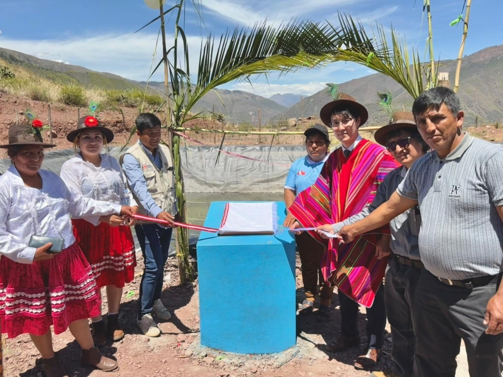 Develación de la placa conmemorativa por el Primer Secretario KOGANEZAWA, y el Sr. Dubán Contreras, Director Ejecutivo de IIDA, con la participación del Sr. Mario Flores Perez, alcalde de la Municipalidad Distrital de Tintay