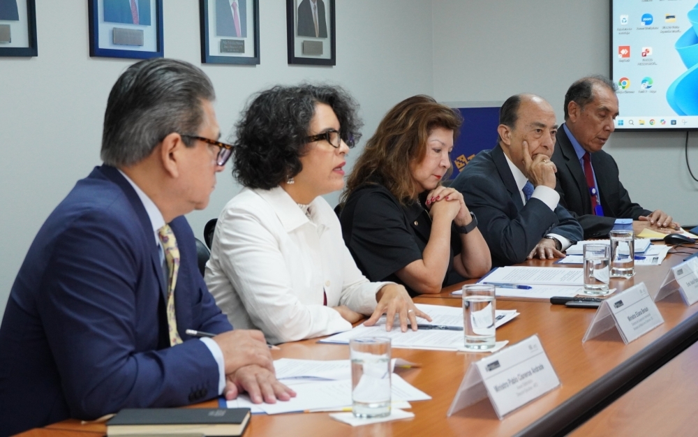 La embajadora Noela Pantoja, directora ejecutiva de la Agencia Peruana de Cooperación Internacional (APCI) y la ministra Eliana Beraún, directora de la Dirección de Cooperación Internacional y Asistencia Humanitaria Internacional del Ministerio de Relaciones Exteriores junto con los asistentes de la parte peruana